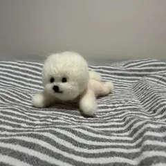 羊毛フェルト ビションフリーゼ ぬいぐるみのサムネイル