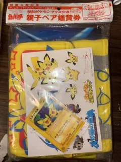 ポケモンカード　ピチュー兄弟