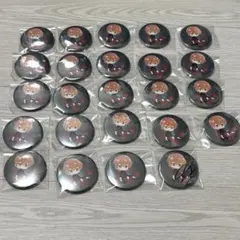 めいちゃん 缶バッジ まとめ売り 24個 サイン入り1個