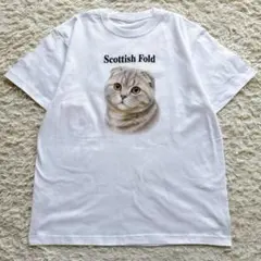 Scottish Fold スコティッシュフォールド 猫 アニマル Tシャツのサムネイル