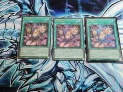 遊戯王　黒魔導のカーテン　ウルトラレア　3枚セット