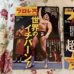 ラスト1冊　完売！週刊プロレス ハルクホーガン緊急追悼号　新品
