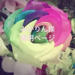 みかりん様　専用ページ