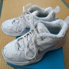 Item thumbnail for item ffef0540-fd3f-4552-8e18-f42f6575d8e8