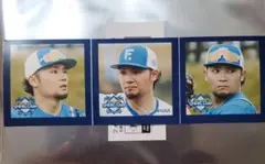 Item thumbnail for item bc4c59a3-0e81-4b7b-b095-9baabf0bf600