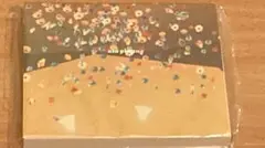 MiZ Plants様 リクエスト 4点 まとめ商品