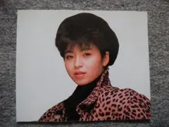 Item thumbnail for item cf1dc725-22fa-47de-9f39-44c3891438ac