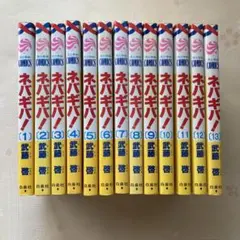 Item thumbnail for item 30258a73-0639-4f5a-941a-df30afde4622