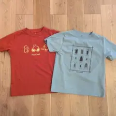 mont-bell 昆虫・くま Tシャツ 2枚セット