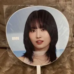 TWICE 5TH WORLD TOUR うちわ MOMO