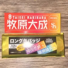 牧原大成 ロング缶バッジ