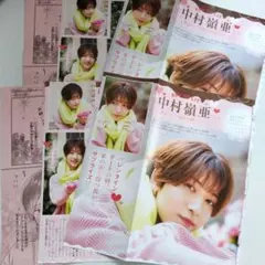 花とゆめ 中村嶺亜 切り抜き 撮影レポートマンガ 2部セット