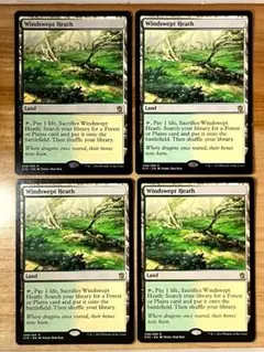 MTG 吹きさらしの荒野 Windswept Heath foil 旧枠 1枚 - メルカリ