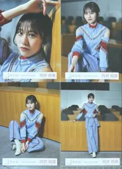 櫻坂 櫻坂46 生写真 Make or Break MV衣装 向井純葉 コンプ
