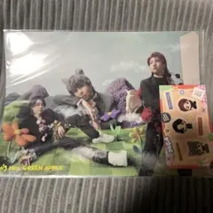 Mrs. GREEN APPLE クリアファイルとステッカーセット