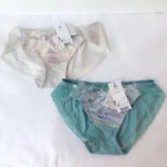 ワコール　アイリスホワイト・ミントグリーン　刺繍レースショーツ　2枚