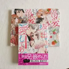 その溺愛、反則です! ～イッたくらいじゃ許してくれません～他 3冊まとめ獅山雨為