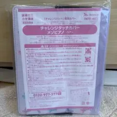 チャレンジパッドnext