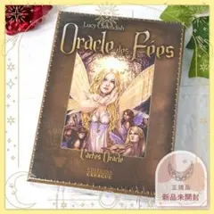 【正規品オラクルカード】フランス発の華麗な神々と植物のコラージュデッキ／金縁 2025年最新】フランス製オラクルカードの人気アイテム - メルカリ