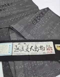 小紋 浮文染 ふくれ織 紋意匠 反物 正絹 HTT001 - メルカリ