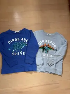 恐竜スパンコールトレーナー2枚セット