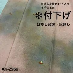 AK-2566 鳥の刺繍 付下げ ぼかし染め 金彩　紋無し　正絹　広衿　袷