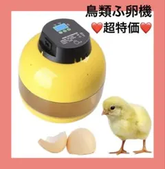 Item thumbnail for item 2313cf96-ff41-4786-8f2e-fd0aa5dec7f0