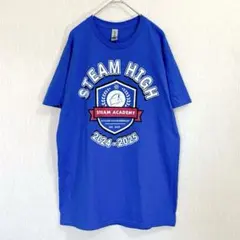 ギルダン 半袖Tシャツ クルーネック カレッジ風 M 青 綿 デイリー