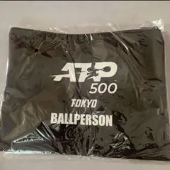 ATP 500 TOKYO