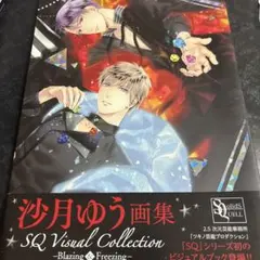 ツキプロ 2P 沙月ゆう 画集 SolidS QUELL ツキプロ 2P 沙月ゆう 画集 SolidS QUELL ツキプロ 2P 沙月ゆう 画集