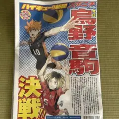 ハイキュー⭐︎映画グッズ　特大ポスター