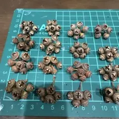 ローズマリー様 リクエスト 2点 まとめ商品