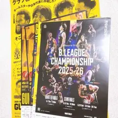 【新品未使用】群馬クレインサンダーズ ポスターセット