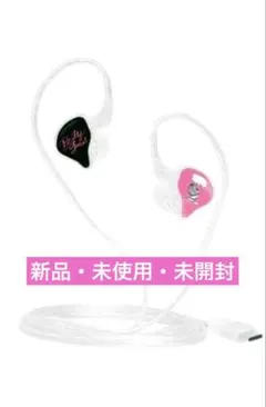 Be My Guest 有線イヤホン　岩田剛典　GAN 岩田剛典 イヤモニ イヤホン Be My Guest - メルカリ