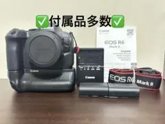【美品】Canon EOS R6Mark2 付属品多数のサムネイル