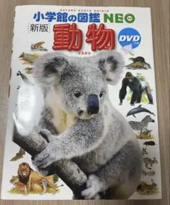 Item thumbnail for item 8e417f43-74a4-4e4b-a2ad-588370083926