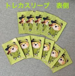 カラフルピーチ　シヴァ　トレカスリーブ10枚セット