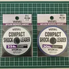 Item thumbnail for item 05b84c0a-b195-4a4e-be0f-46b651cd5be8