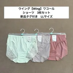 ウイング【Wing】ワコール　ショーツ　3枚セット　LLサイズのサムネイル