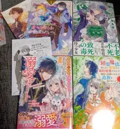 精霊魔法が使えない無能だと婚約破棄されたので、義妹の奴隷になるより追放を選びま…