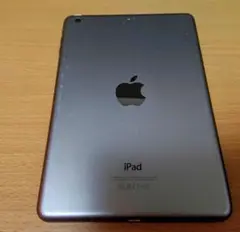 【極美品】Apple iPad mini2WiFiモデル16GB スペースグレイ