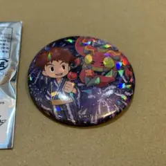 デジモン　缶バッジ　光子郎　テントモン