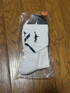 インザペイント ソックス