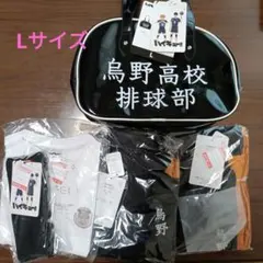 ハイキュー!!鳥野高校 排球部 バッグ ジャージ上下　Lサイズ　しまむらコラボ