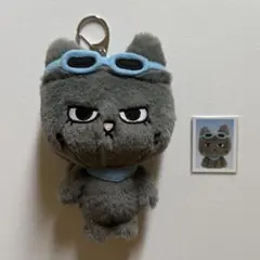 BOYNEXTDOOR ボネクド プネクド テサン ぬいぐるみ セット トレカ BOYNEXTDOOR ボネクド プネクド テサン ぬいぐるみ セット トレカ