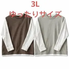 3L メンズ 長袖Tシャツ 2点セット 大きいサイズ ゆったり