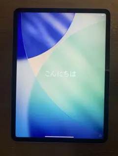 【ジャンク・画面割れなし】iPad Pro 11インチ第3世代 Wi-Fiモデル
