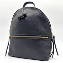 【未使用に近い】 RADLEY LONDON ラドリーロンドン リュック 黒のサムネイル
