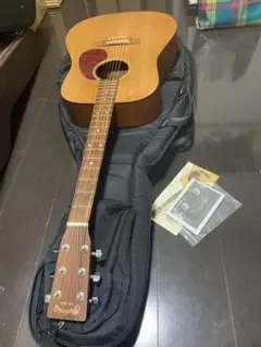 ★超美品★Martin DM（ハードケース付き） 2025年最新】martin dm ギターの人気アイテム - メルカリ