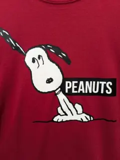 ピーナッツ☆スヌーピー＆チャリーブラウン☆長袖Tシャツ エンジ M ☆新品未使用